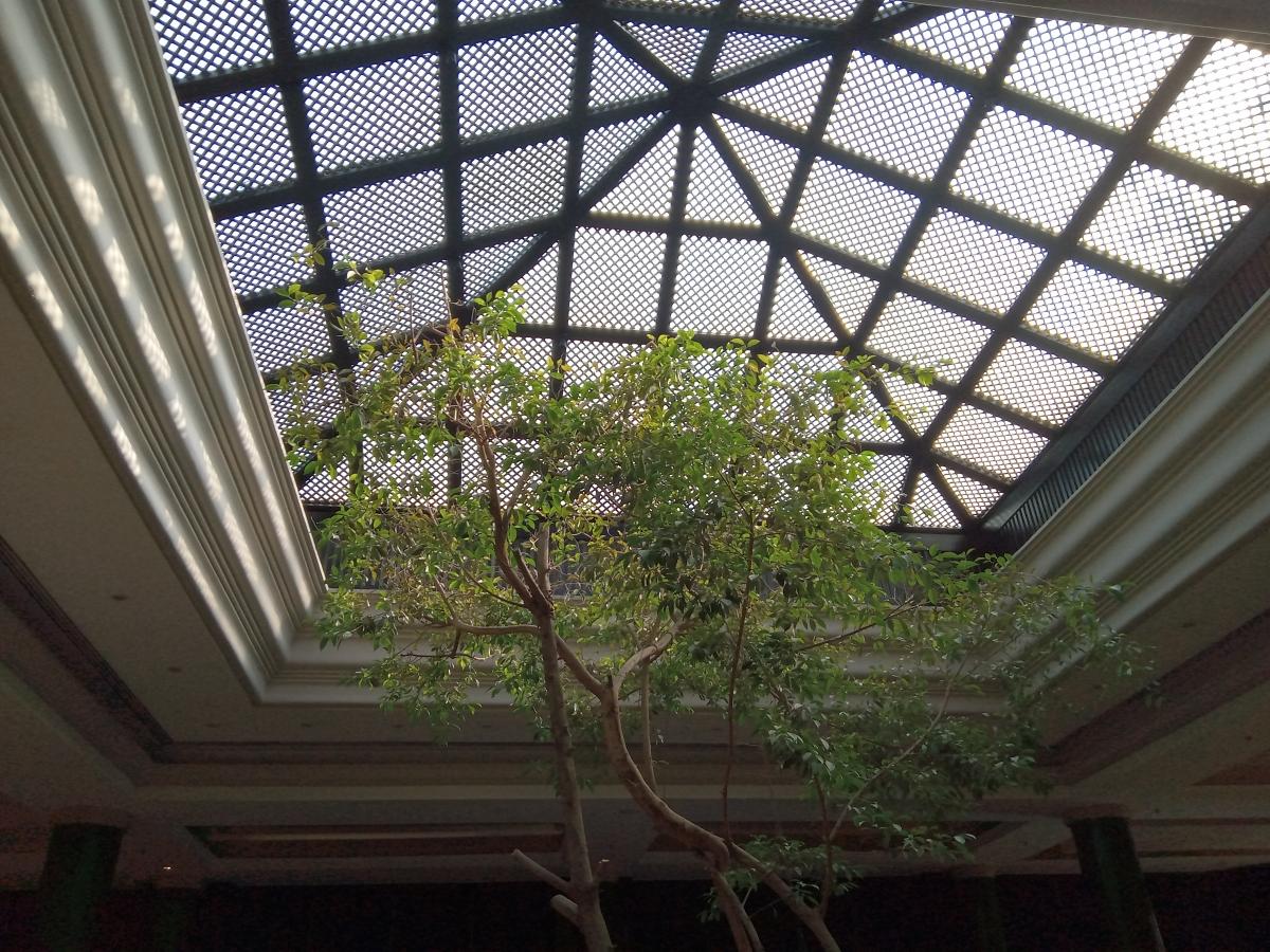 Moto E7 Power camera sample