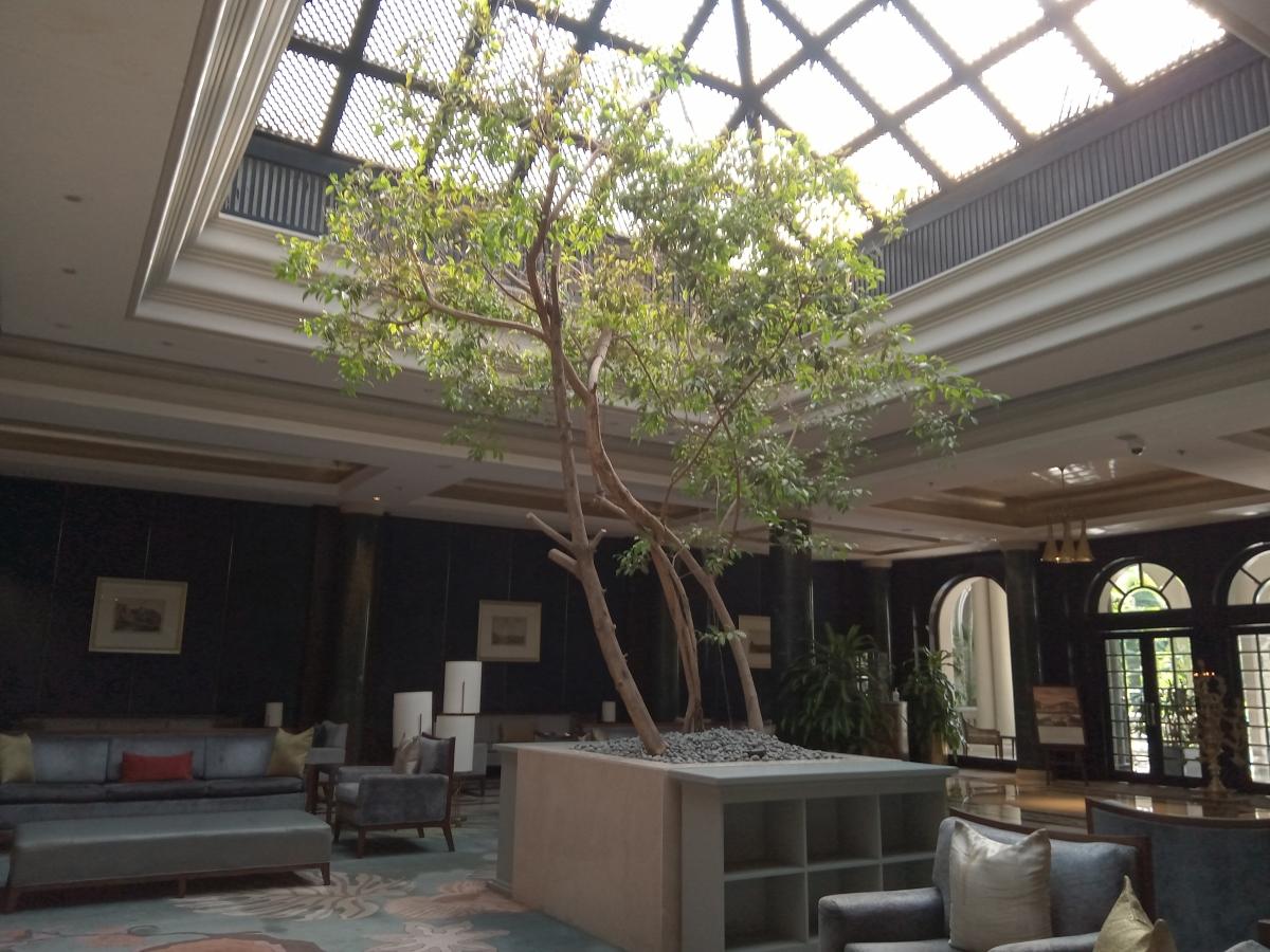 Moto E7 Power camera sample