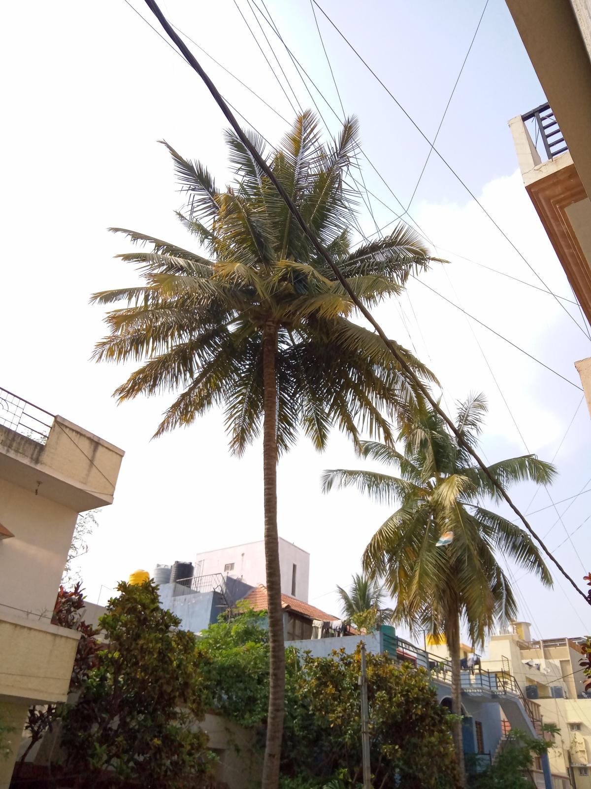 Moto E7 Power camera sample