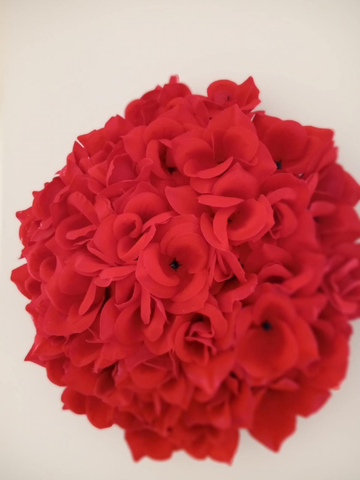 Moto E7 Power camera sample