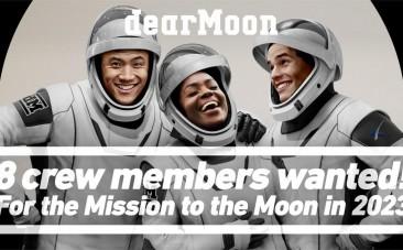 dearmoon mission