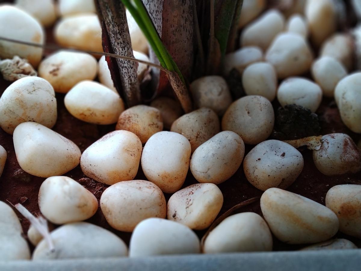 Nokia 3.4 camera sample