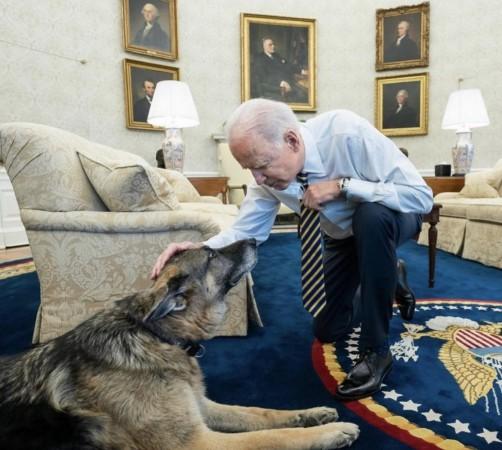 The First Dogs of the United States Flag of United States @TheFirstDogs ยท 18h