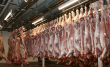 Mutton shops