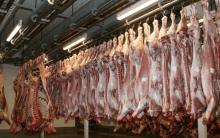 Mutton shops