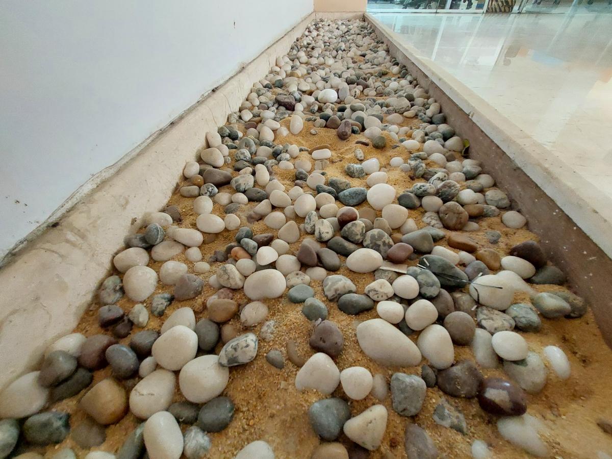 Samsung Galaxy A52 camera sample