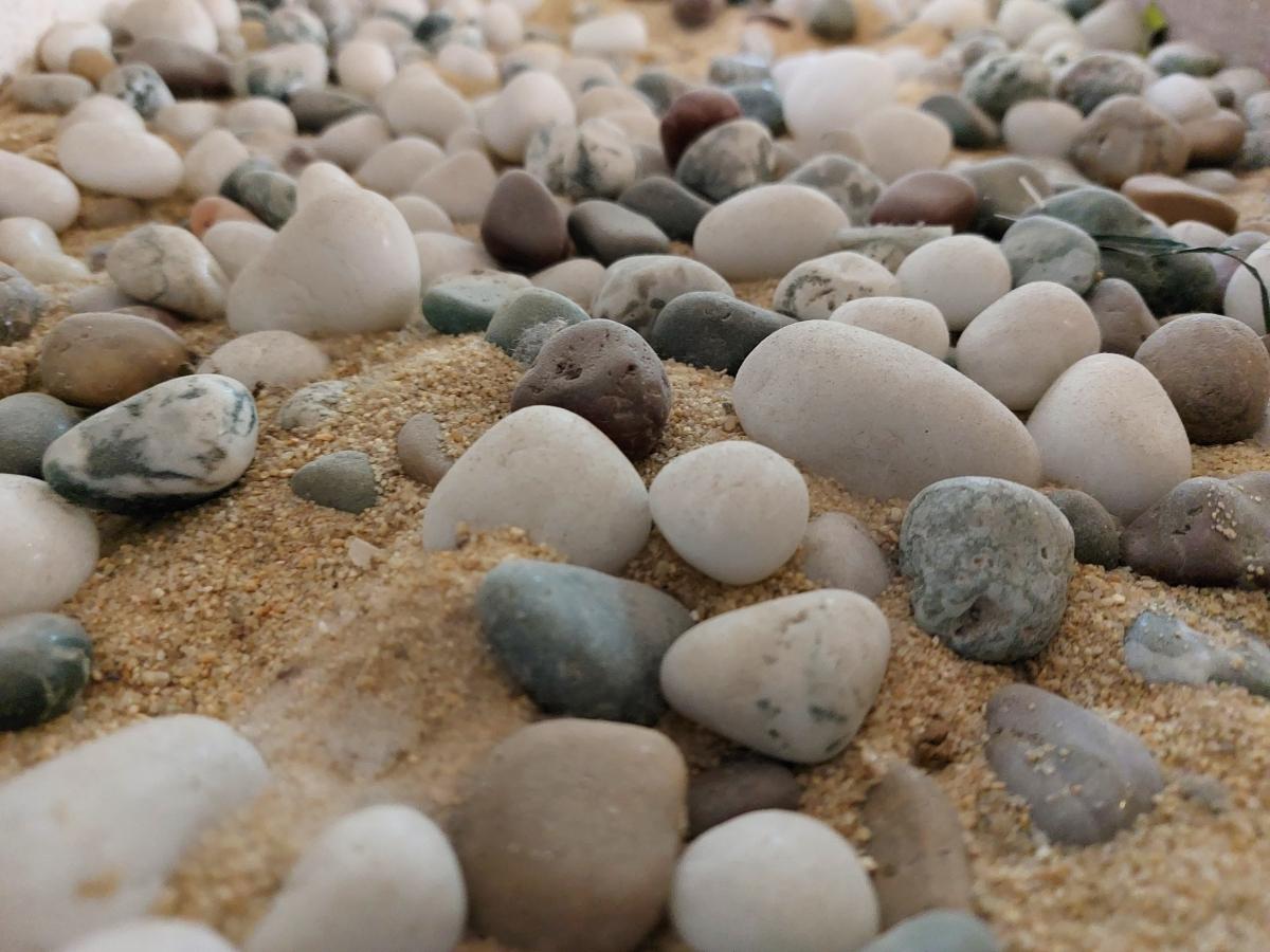 Samsung Galaxy A52 camera sample