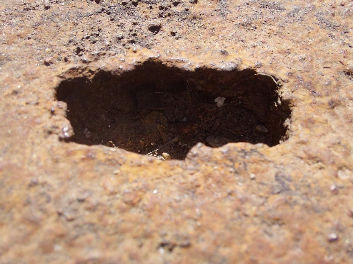 Samsung Galaxy A52 camera sample