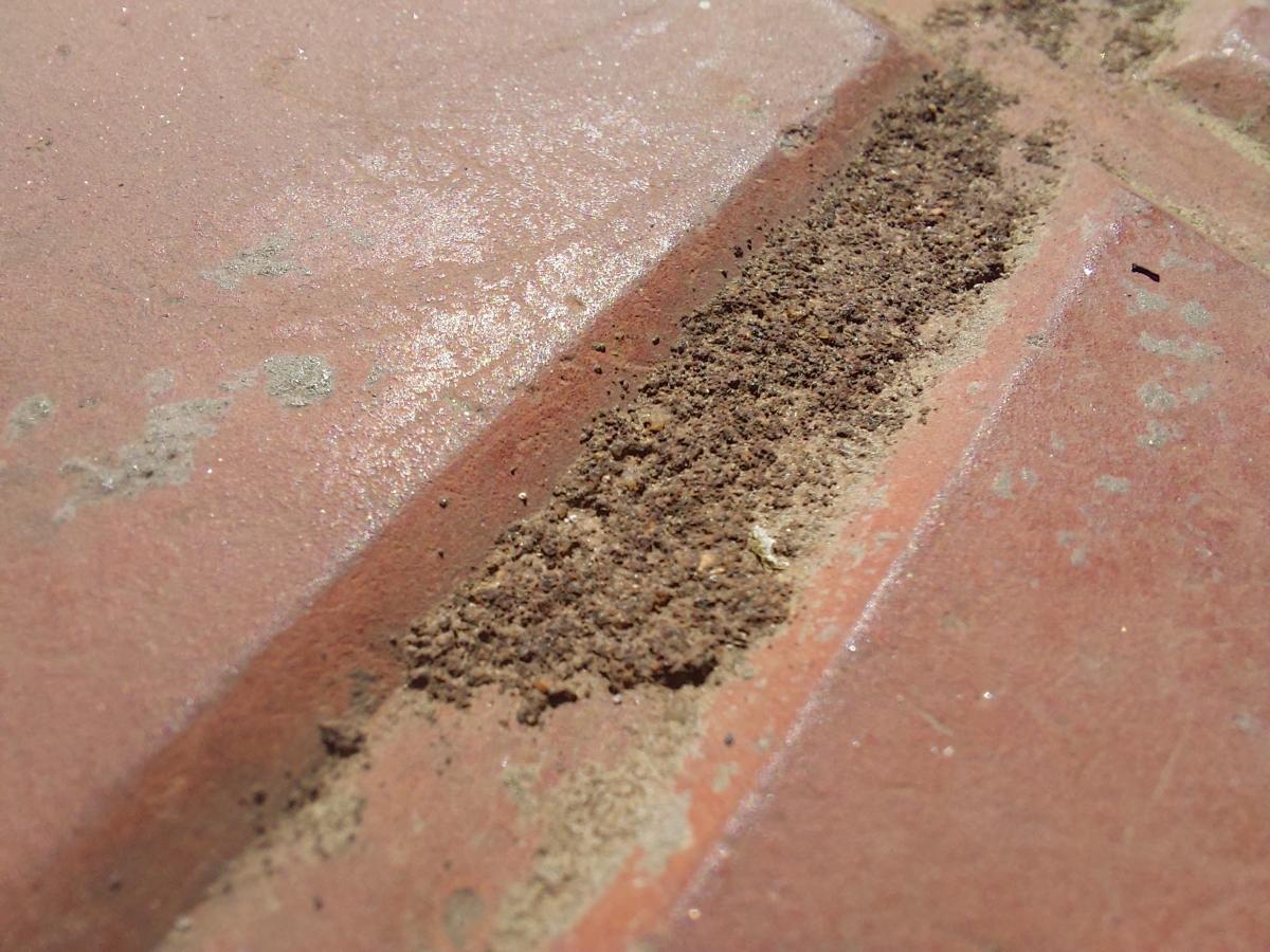 Samsung Galaxy A52 camera sample