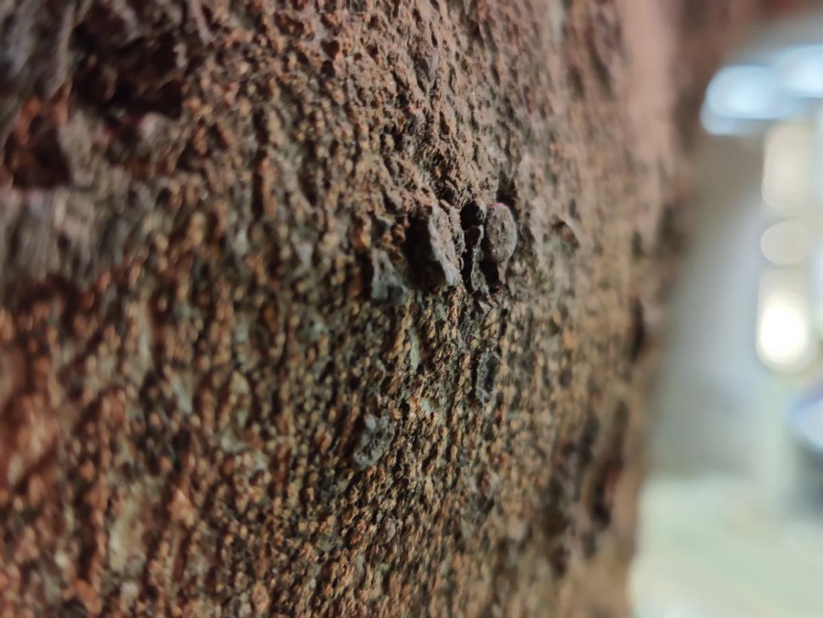 OnePlus 9 Pro camera sample - Portrait low light OnePlus 9 Pro camera sample