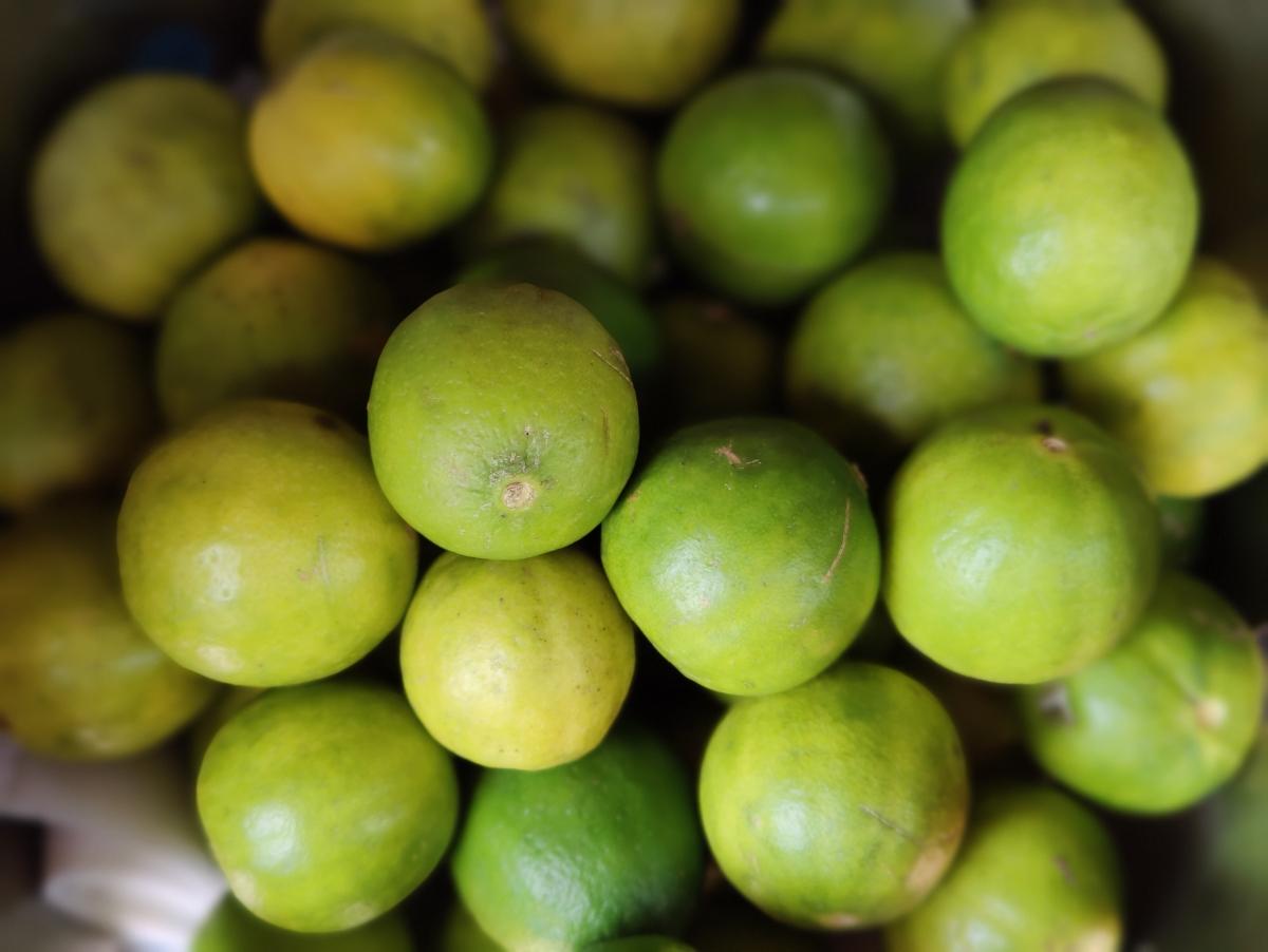 OnePlus 9 Pro camera sample OnePlus 9 Pro camera sample