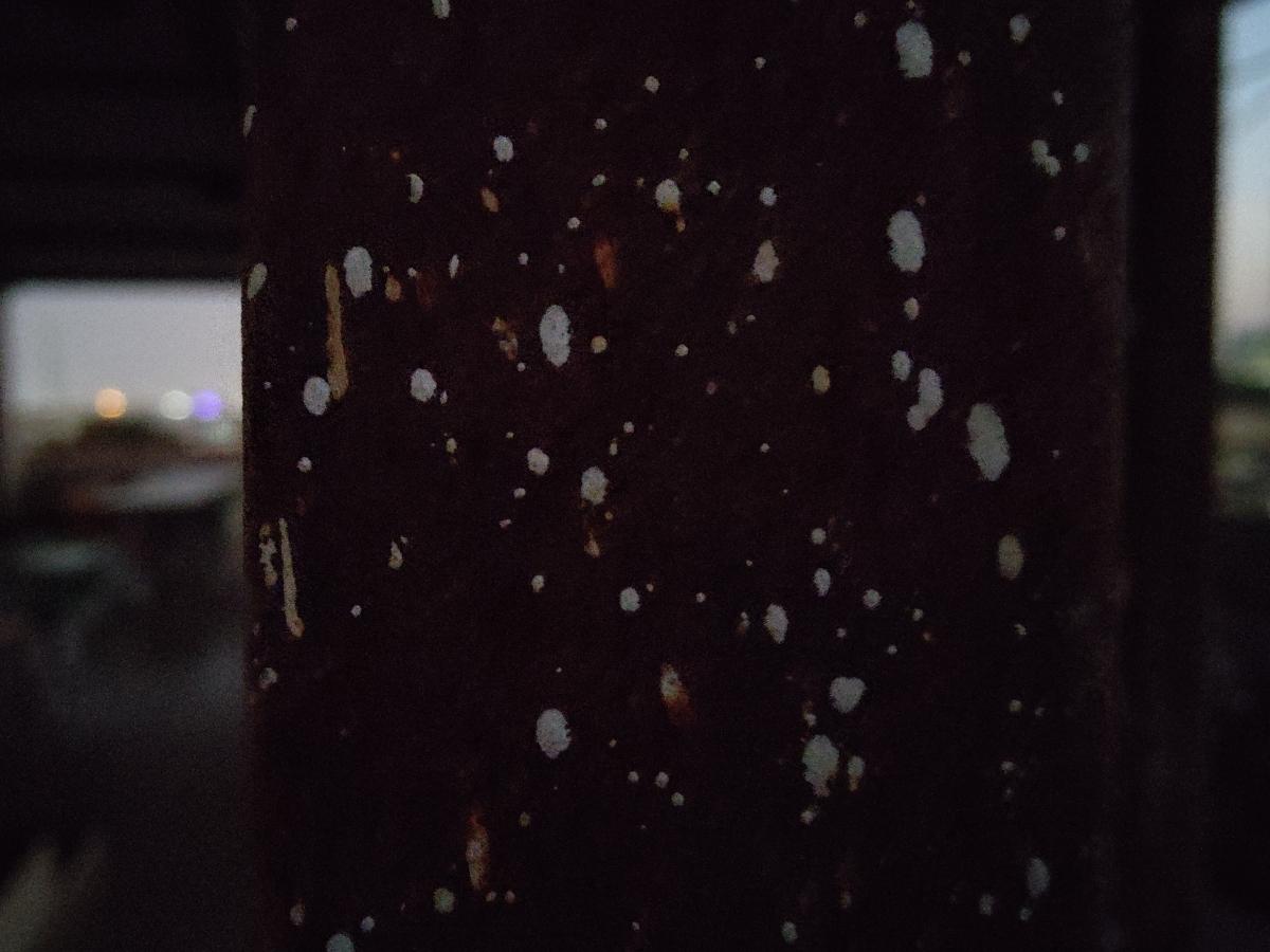 OnePlus 9 Pro camera sample - Supermacro low light OnePlus 9 Pro camera sample