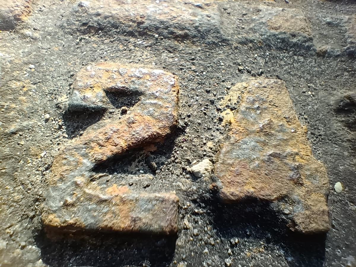 Oppo F19 Pro  camera review