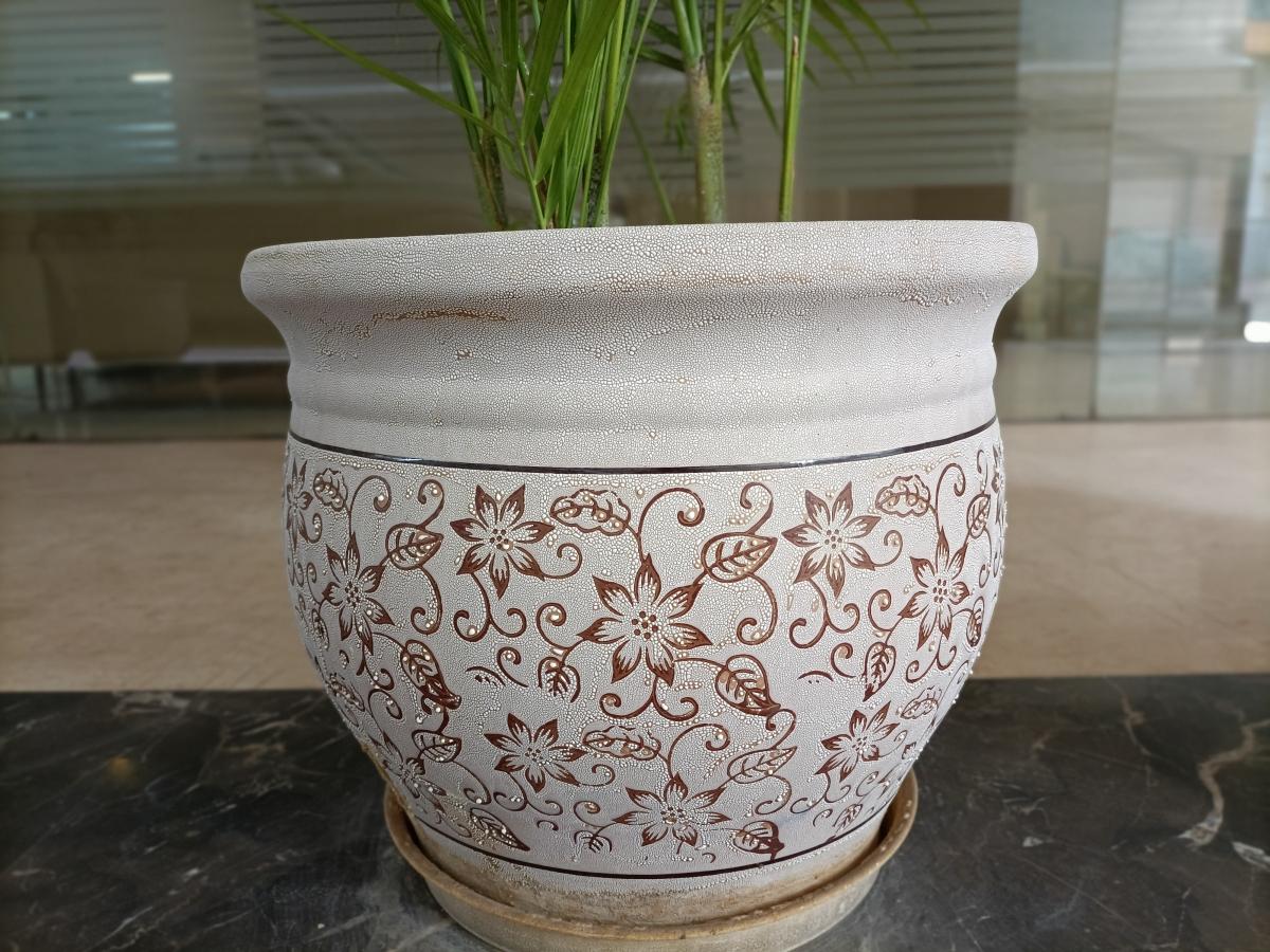 Oppo F19 Pro  camera review