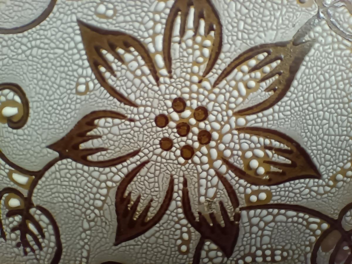 Oppo F19 Pro  camera review