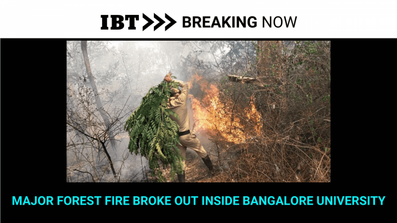 forest fire