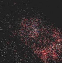 The SwRI-led Ultraviolet Spectrograph (UVS) orbiting Jupiter aboard NASA's Juno spacecraft allowed scientists to discover faint ring-like aurora features, shown here in false color expanding rapidly over time. Jupiter aurora