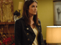 Cobie Smulders