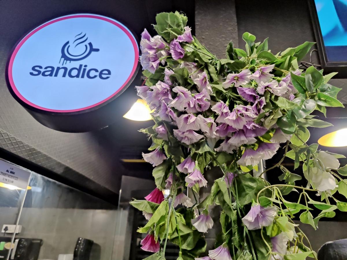 OnePlus 9 camera review