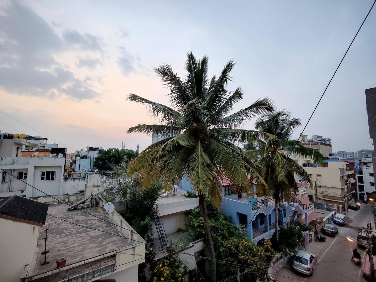 OnePlus 9 camera review