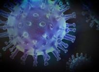 Virus