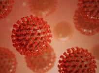 Novel Coronavirus