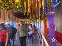 Mata Vaishno Devi