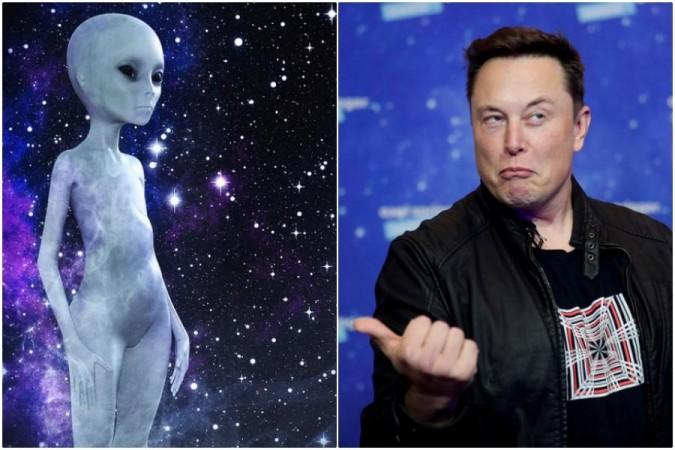 Representational Image of alien (Left), Elon Musk (Right) elon musk alien