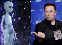 elon musk alien