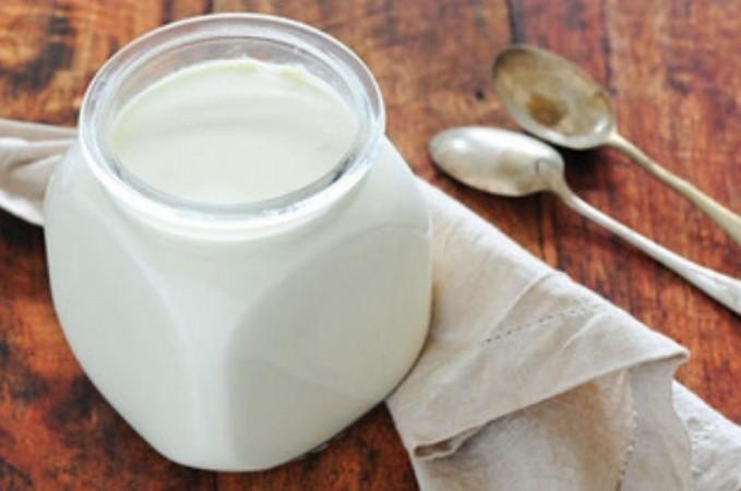 Yoghurt (Representational Picture) Yoghurt