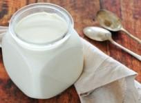 Yoghurt