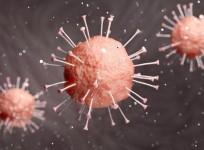 SARS-CoV-2 Coronavirus