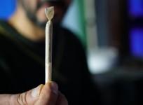 Cannabis