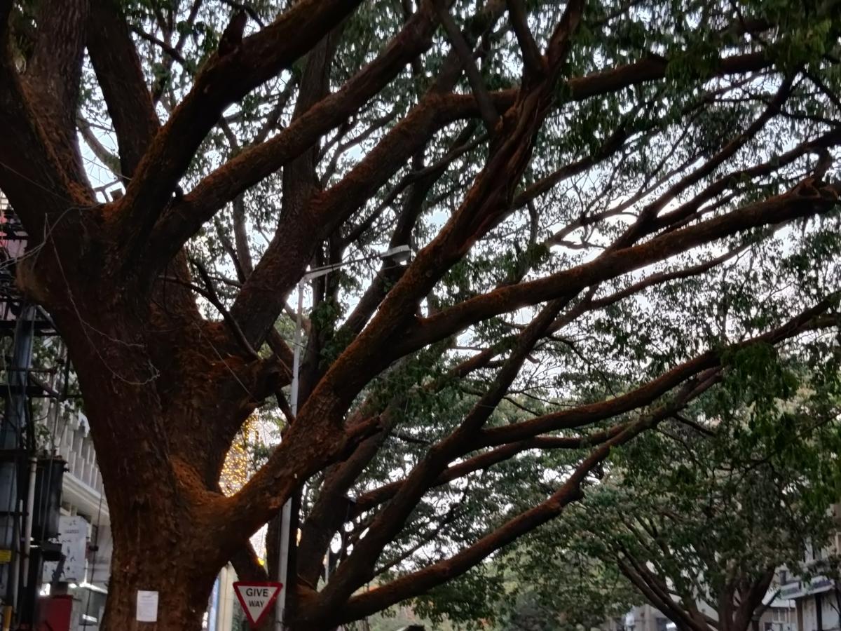 OnePlus 9R camera review