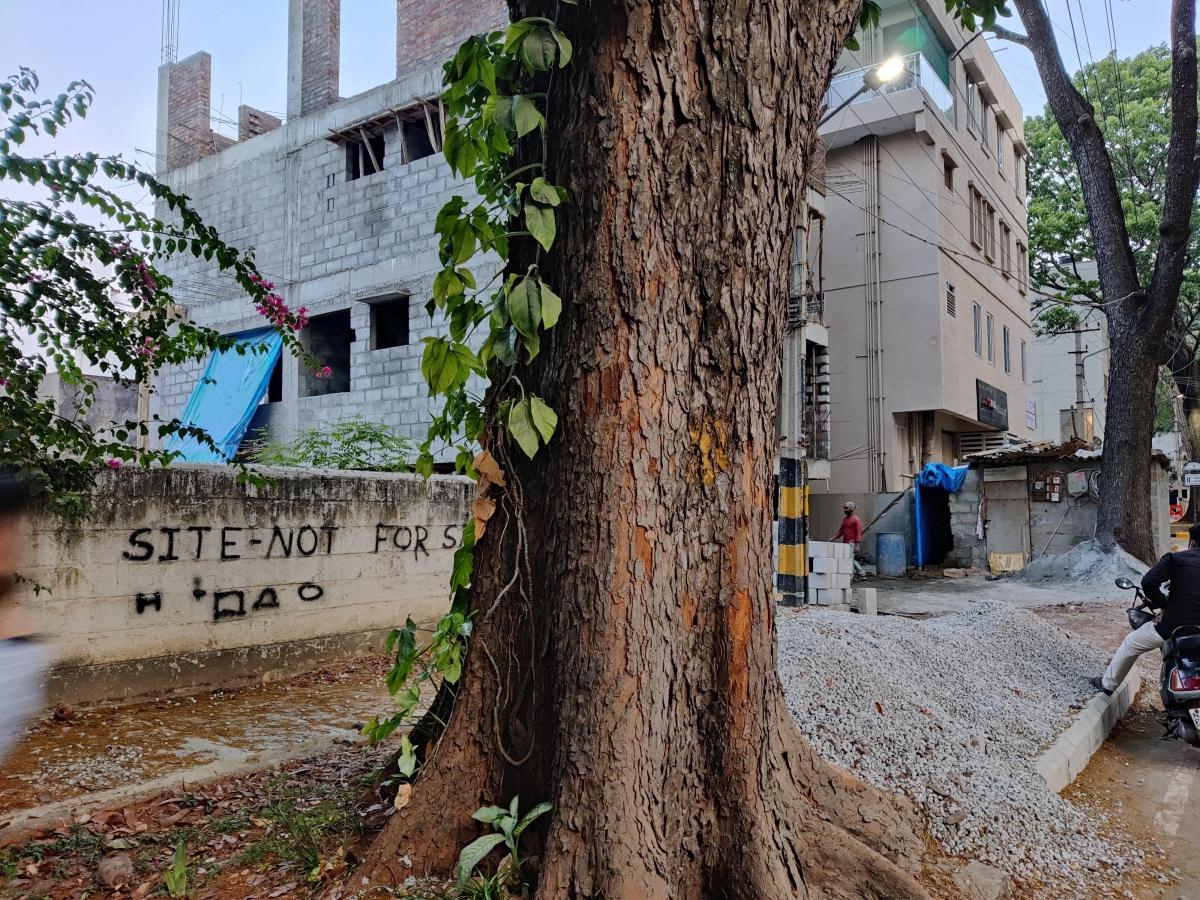 OnePlus 9R camera review