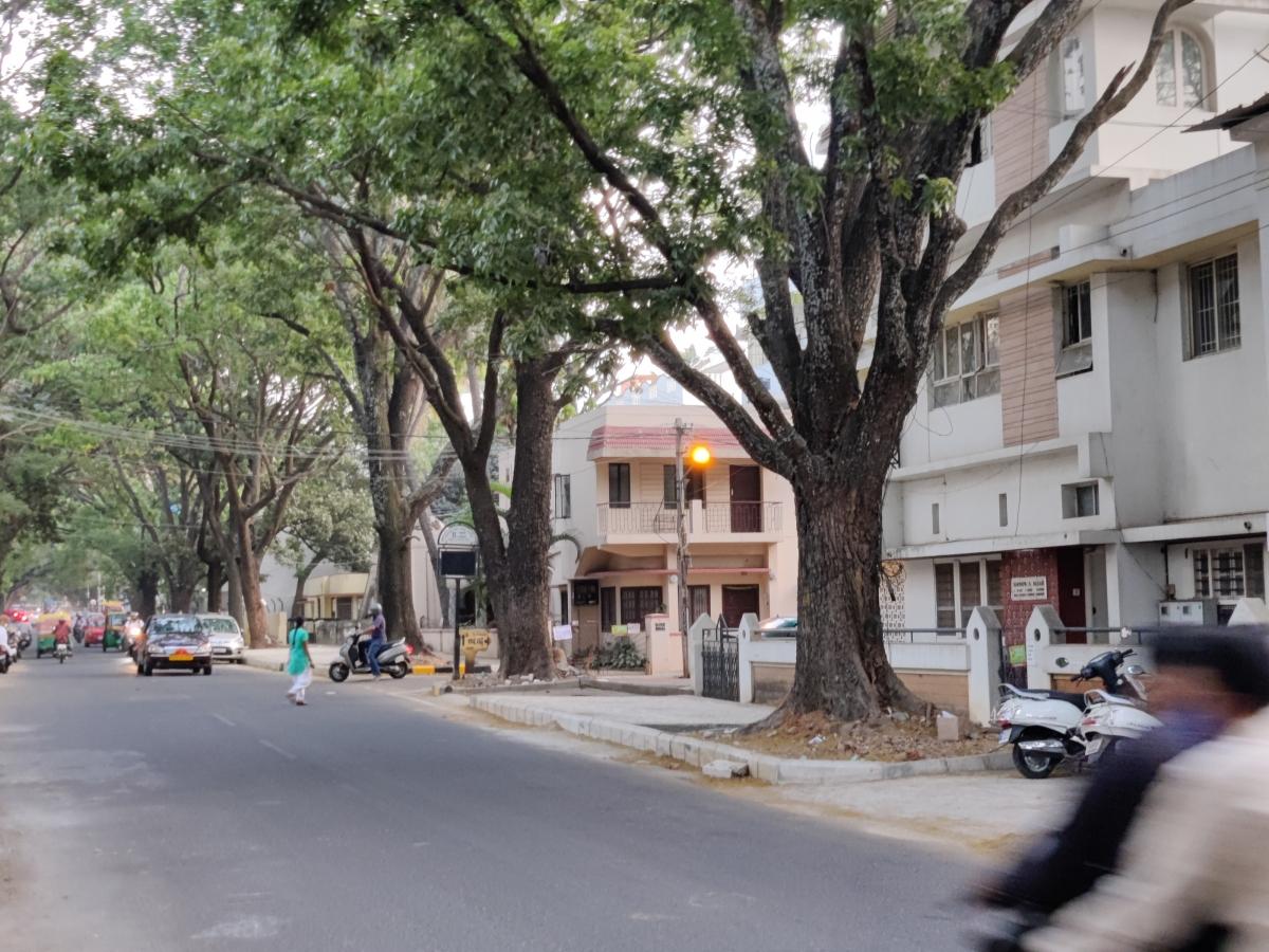 OnePlus 9R camera review