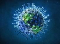 Novel Coronavirus