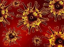 Novel Coronavirus