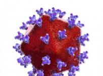 HIV Virus