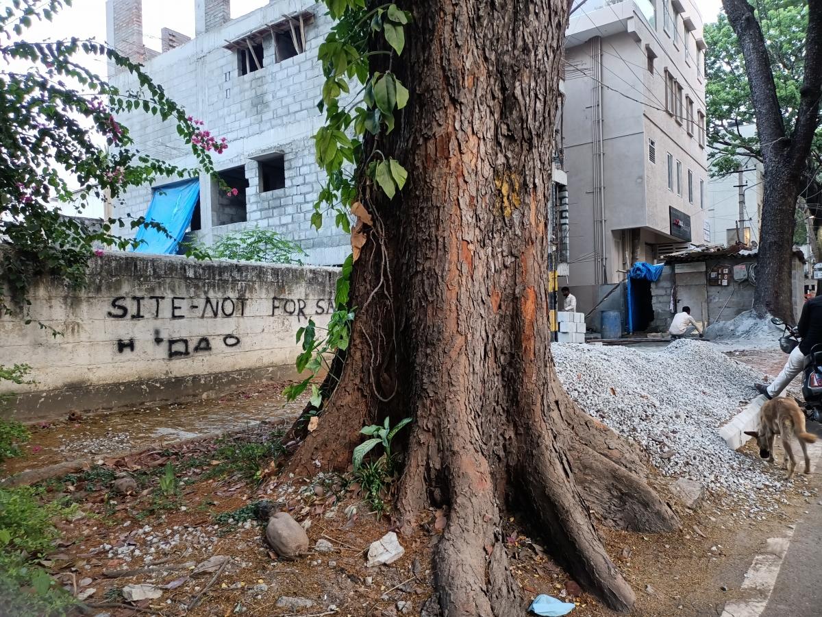 Oppo F19 Pro camera review