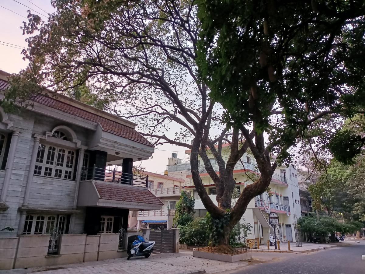 Oppo F19 Pro camera review