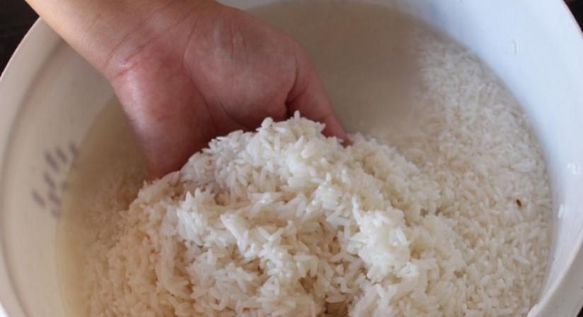 rice water