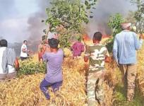 Villagers trying to control fire in fields