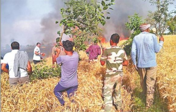 Villagers trying to control fire in fields
