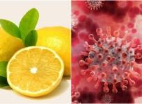 lemon coronavirus