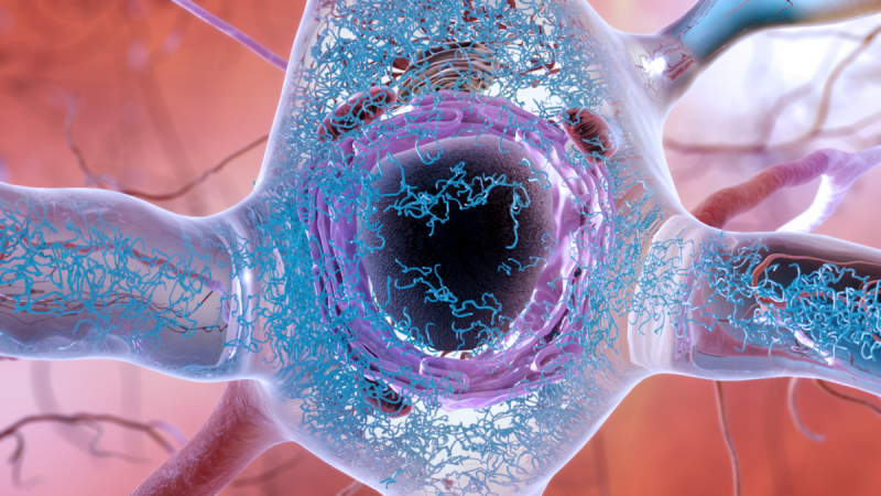 Abnormal Tau Proteins (Representational Picture) Tau Particles