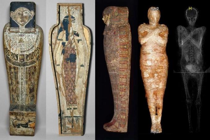 The sarcophagus and mummy Pregnant Mummy
