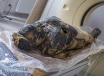 Pregnant Mummy