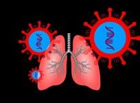 Respiratory Illness