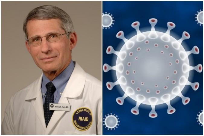 Anthony Fauci (Left), Representational Image (Right) Anthony Fauci coronavirus